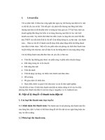 BÀI TIỂU LUẬN-PHƯƠNG THỨC THANH TOÁN ĐIỆN TỬ CỦA HAI CÔNG TY