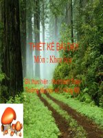 Tuần 22: Bài 47 Ánh sáng cần cho sự sống