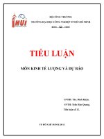 TIỂU LUẬN - KINH TẾ LƯỢNG VÀ DỰ BÁO