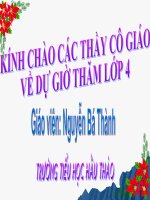 BAI GIANG LUYEN TU VA CAU.ppt