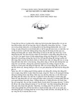 BAN CO BIET  VE SONG THAN