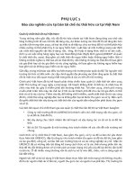 BÁO CÁO THỰC TẬP-Báo cáo nghiên cứu tại bàn tái chế rác thải hữu cơ tại Việt Nam