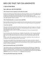 BÀI BÁO CÁO THỰC TẬP- TÌM HIỂU VỀ LỊCH SỬ VÀ SỰ SỰ NGHIỆP HÌNH THÀNH CỦA AJI-NO-MOTO