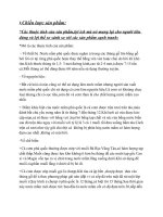 BÀI TIỂU LUẬN- KINH DOANH QUỐC TẾ-Chiến lược sản phẩm. phân phối