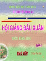 Tuần 21: bài 41 Âm thanh