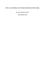 TIỂU LUẬN MÔN HỌC- BẢO VỆ ROLE TRONG HỆ THỐNG ĐIỆN.