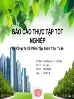 BÀI BÁO CÁO THỰC TẬP-Tại Công Ty Cổ Phần Tập Đoàn Thái Tuấn