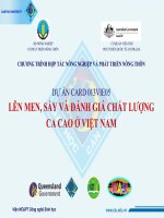 BAOA CÁO THỰC TẬP-LÊN MEN, SẤY VÀ ĐÁNH GIÁ CHẤT LƯỢNG CA CAO Ở VIỆT NAM