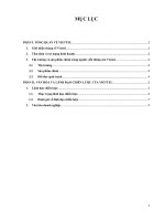 BÁO CÁO THỰC TẬP-Thị trường và sản phẩm chính trong ngành viễn thông của Viettel