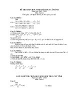 DAP AN-DE HSG Tinh NGHE AN TOAN 6