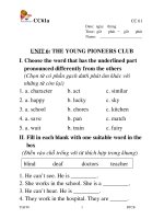 AV 8 Unit 6 The young pioneers club 2 (1)