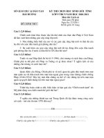 Đề+đáp án HSG cấp tỉnh môn Sử năm 11