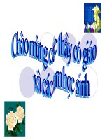 Giáo án tham khảo thao giảng môn toán 6 Bài 1 Tập hợp, phân tử của tập hợp (3)