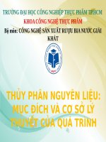 Bộ môn: CÔNG NGHỆ SẢN XUẤT RƯỢU BIA NƯỚC GIẢI KHÁT THỦY PHÂN NGUYÊN LIỆU: MỤC ĐÍCH VÀ CƠ SỞ LÝ THUYẾT CỦA QUÁ TRÌNH