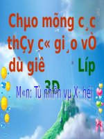 Bài TNXH lớp 3: Các hoạt động thông tin liên lạc