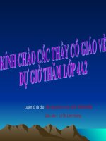 MRVT DU LỊCH THÁM HIỂM