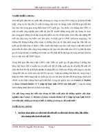 tiểu luận tài chính quốc tế đê tài 1 thập kỷ thực hiện MTLP trên thế giới