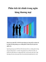 Phân tích tài chính trong ngân hang thương mại