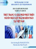 THỰC TRẠNG VÀ GIẢI PHÁP PHÁT TRIỂN NGUỒN NHÂN lực NGÀNH KIỂM TOÁN TẠI VIỆT NAM