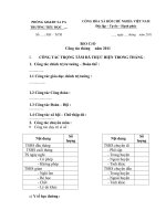 Mẫu báo cáo hàng tháng