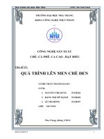 QUÁ TRÌNH LÊN MEN CHÈ ĐEN