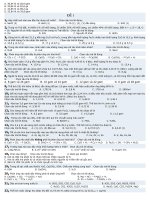 de hsg hoa 8 trac ngiem 100%