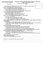 de kiem tra giua ki 2 - doc hieu lop 5-