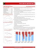 Báo cáo phân tích ngành ngân hàng 2009