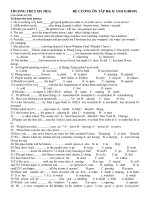 Đề cương ôn tập Tiếng Anh 8 HK2.