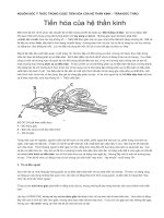 Tiến hóa của hệ thần kinh từ cá đến người