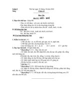 Tuần 9 (Hương_Chu Điện 2)