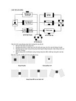 Bố trí lõi cứng  Thang máy trong Cao ốc Văn phòng