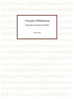 The concept and process of marketing Sony xperia z3