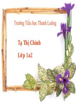 Ta Thi Chinh - Thanh Luong