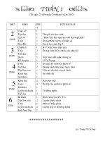 phân phối chương trình lớp 5