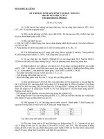 Đề thi HSG Tỉnh Hà Tĩnh 2010 môn Hóa 11