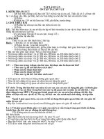 Giáo án chuyên đề tổ Phân môn Tập làm văn