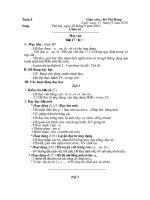 Tuần 5 (Hương_Chu Điện 2)