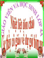 TĐ:Dòng sông mặc áo T31