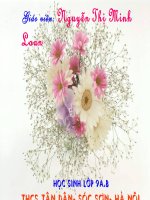 151: Bo cua Xi- mong