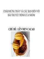BÀI THUYẾT TRÌNH LÊN MEN CACAO