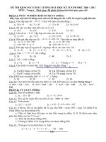 khảo sát chất lượng kì 1