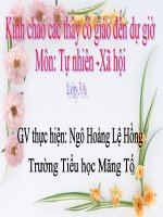 Trái đất là một hành tinh trong hệ Mặt trời