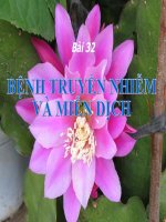 Bài 32: Bệnh truyền nhiễm