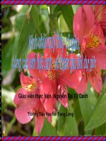 bài giảng  của oanh