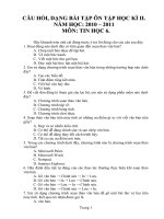 Hướng dẫn ôn thi học kì II môn Tin học 6 (2010-2011)