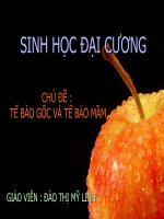 SINH HỌC ĐẠI CƯƠNG CHỦ ĐỀ :  TẾ BÀO GỐC VÀ TẾ BÀO MẦM