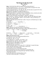 đề cương hóa 9  - hk2- năm học 2010-2011