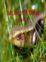 Đa dạng về giới sinh vật