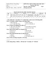 Đề thi Tiếng Việt đọc GHKII Khối 1